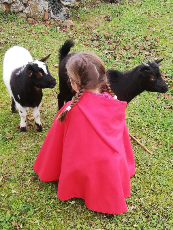 Cape de chaperon Rouge